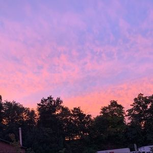 Meet your Posher, Aranz